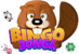 BingoBonga Casino logo