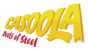Casoola logo