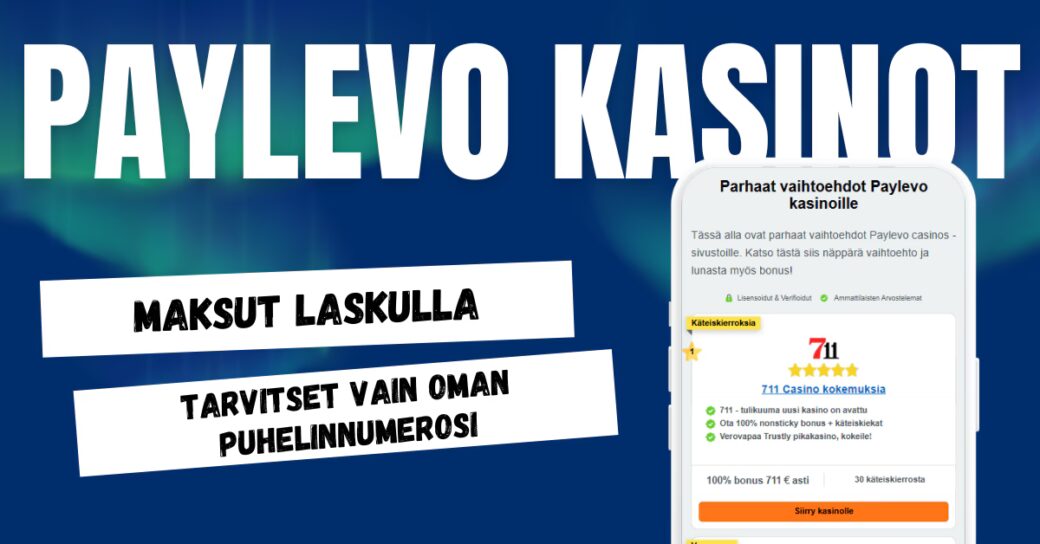 Paylevo maksut