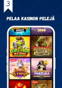 Pelaa kasinon pelejä