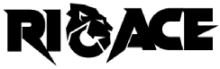 RioAce Casino kokemuksia ja bonus logo