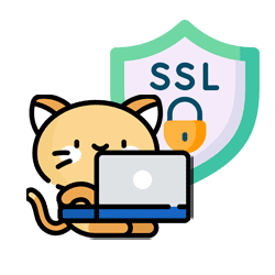 ssl nettikasinoilla - Nettikasinot
